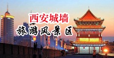 男人大肉棒插女人逼逼视频中国陕西-西安城墙旅游风景区